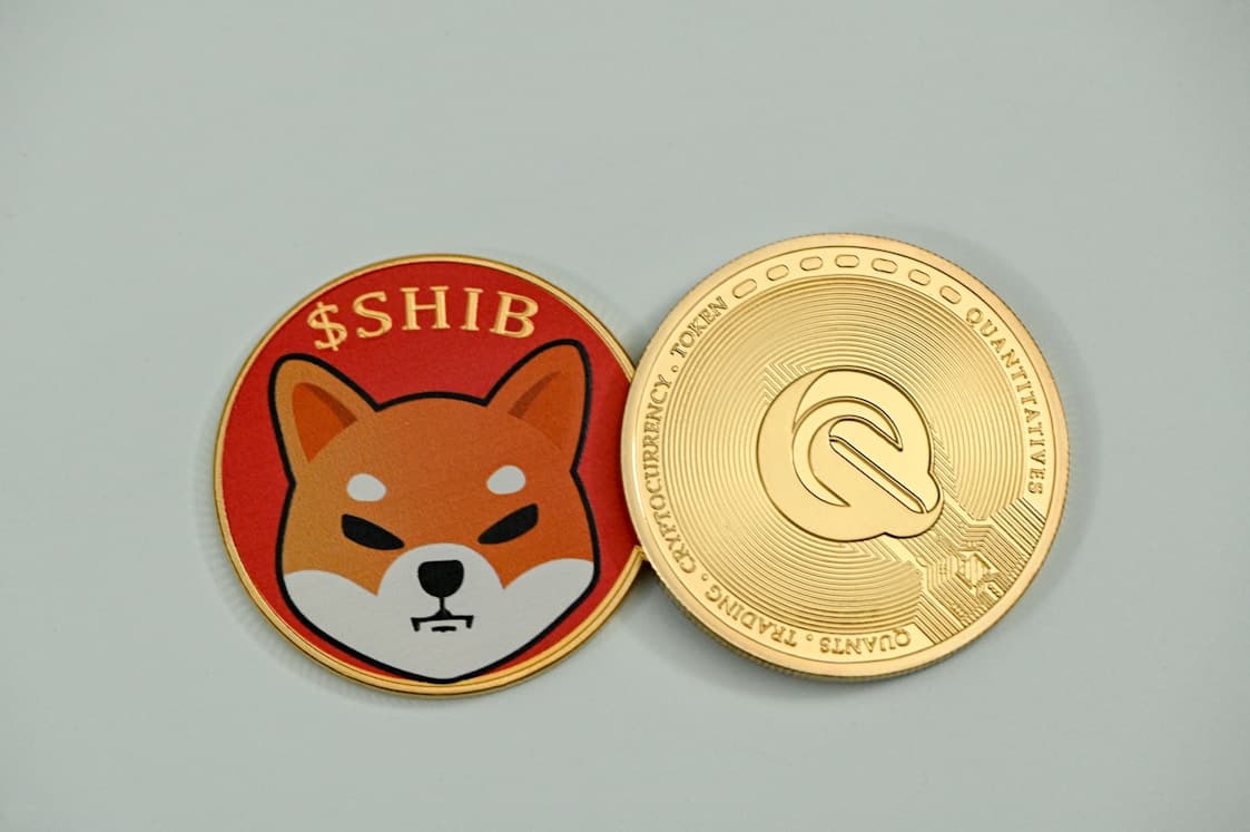 Coin & Token Development